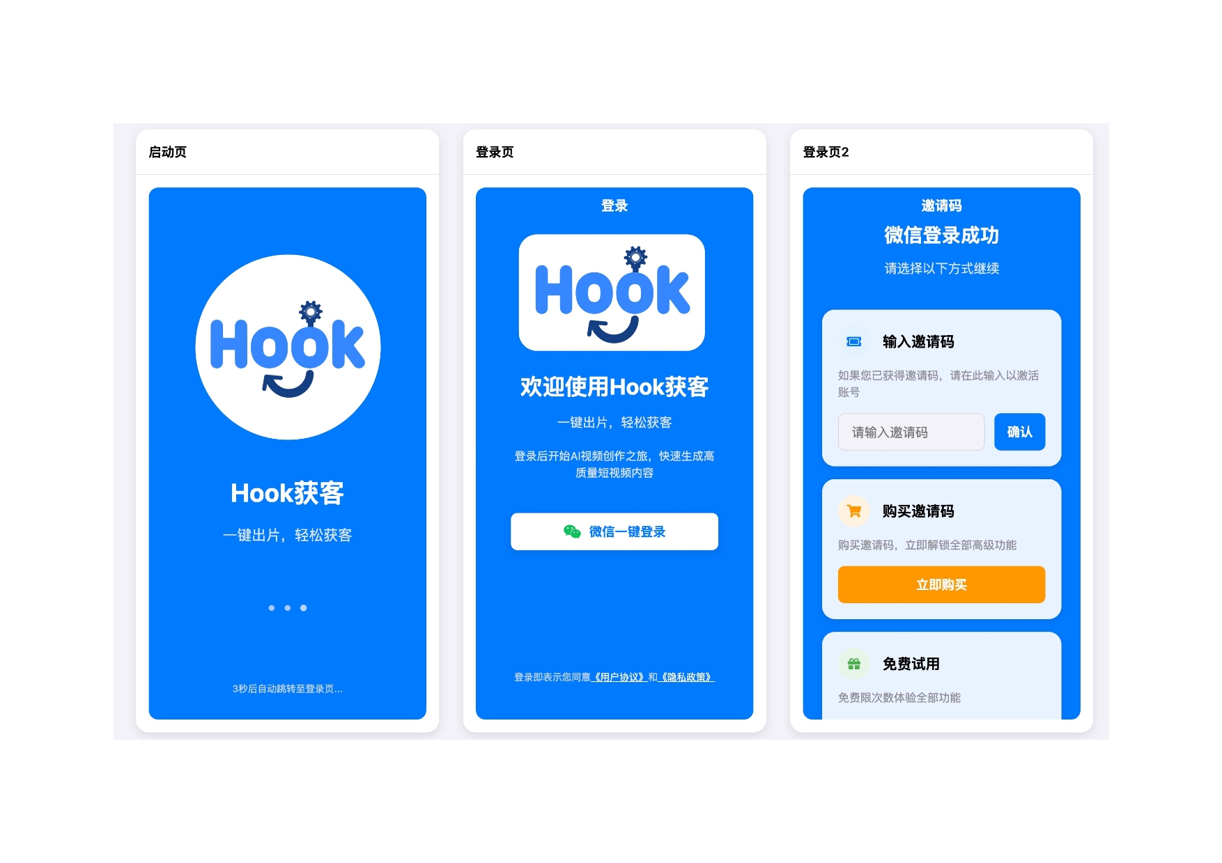Hook获客应用启动页